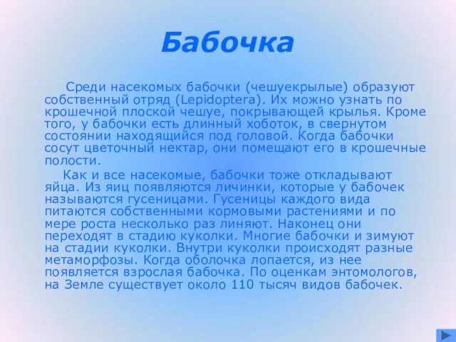 Бабочка Среди насекомых бабочки (чешуекрылые) образуют собственный отряд (Lepidoptera). Их можно узнать