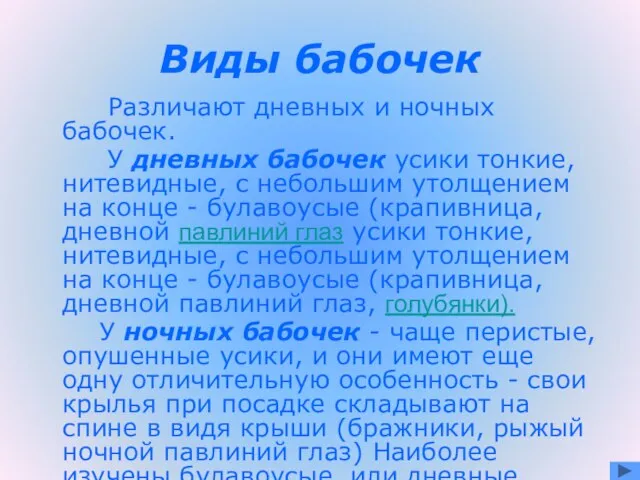 Виды бабочек Различают дневных и ночных бабочек. У дневных бабочек усики тонкие,