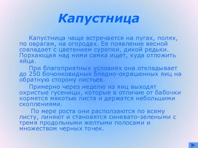 Капустница Капустница чаще встречается на лугах, полях, по оврагам, на огородах. Ее