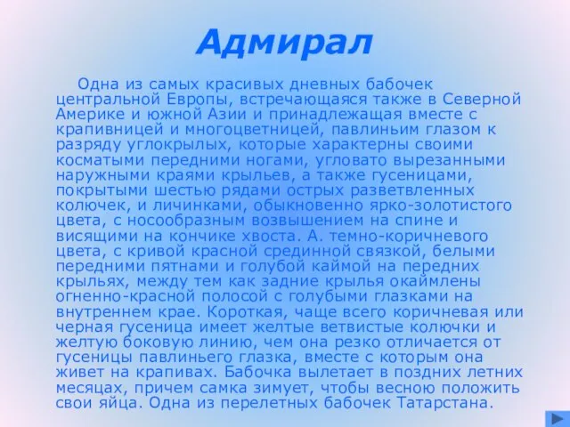 Адмирал Одна из самых красивых дневных бабочек центральной Европы, встречающаяся также в