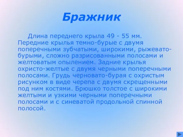 Бражник Длина переднего крыла 49 - 55 мм. Передние крылья темно-бурые с