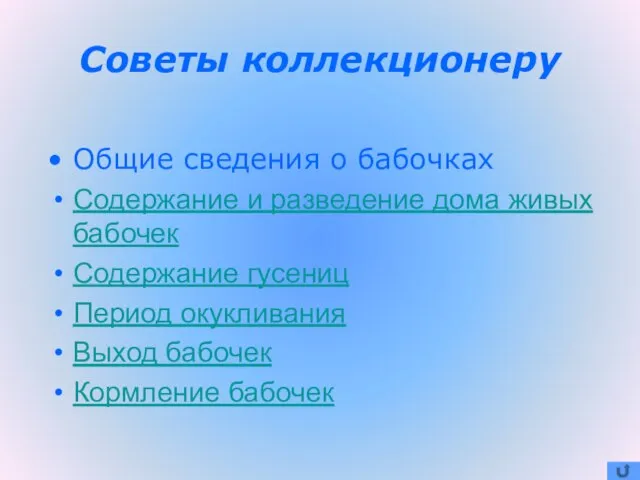 Советы коллекционеру Общие сведения о бабочках Содержание и разведение дома живых бабочек