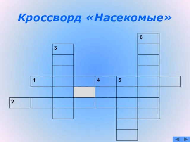 Кроссворд «Насекомые»