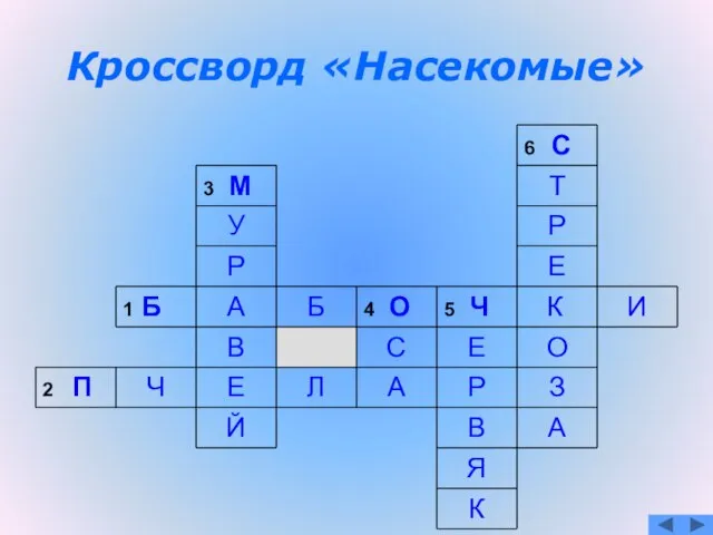 Кроссворд «Насекомые»