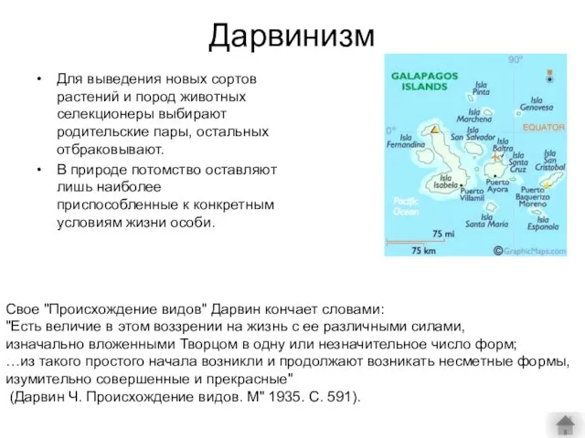 Дарвинизм Для выведения новых сортов растений и пород животных селекционеры выбирают родительские