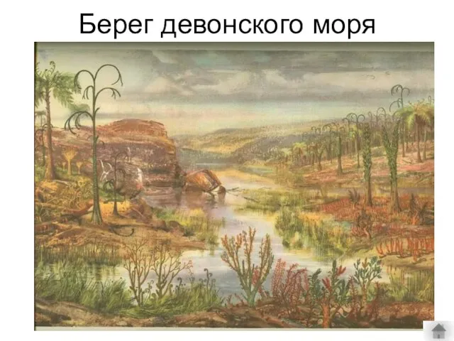 Берег девонского моря