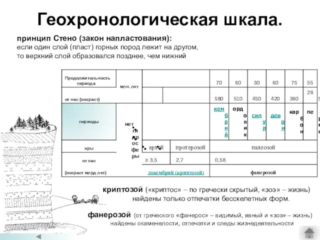 Геохронологическая шкала. принцип Стено (закон напластования): если один слой (пласт) горных пород