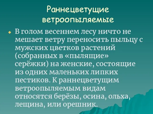 Раннецветущие ветроопыляемые В голом весеннем лесу ничто не мешает ветру переносить пыльцу