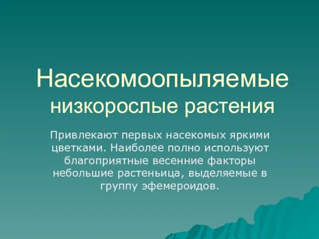 Насекомоопыляемые низкорослые растения Привлекают первых насекомых яркими цветками. Наиболее полно используют благоприятные