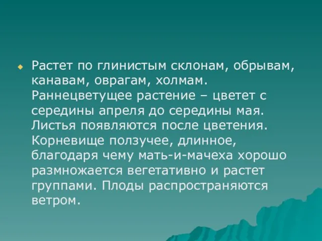 Растет по глинистым склонам, обрывам, канавам, оврагам, холмам. Раннецветущее растение – цветет