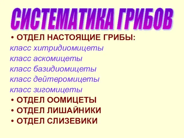 ОТДЕЛ НАСТОЯЩИЕ ГРИБЫ: класс хитридиомицеты класс аскомицеты класс базидиомицеты класс дейтеромицеты класс