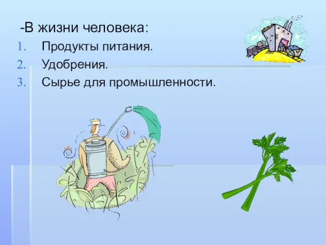 -В жизни человека: Продукты питания. Удобрения. Сырье для промышленности.