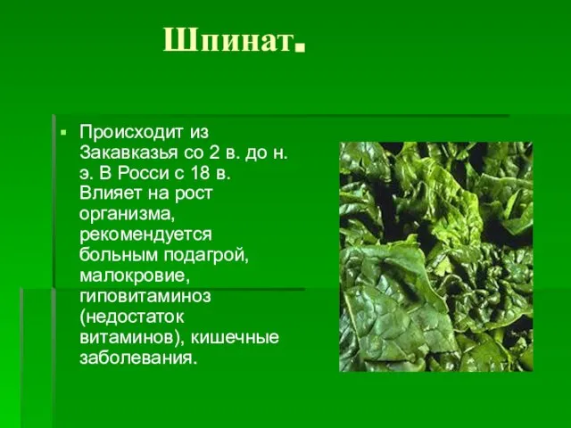 Шпинат. Происходит из Закавказья со 2 в. до н.э. В Росси с