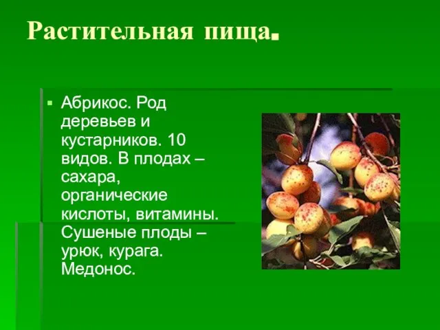 Растительная пища. Абрикос. Род деревьев и кустарников. 10 видов. В плодах –сахара,