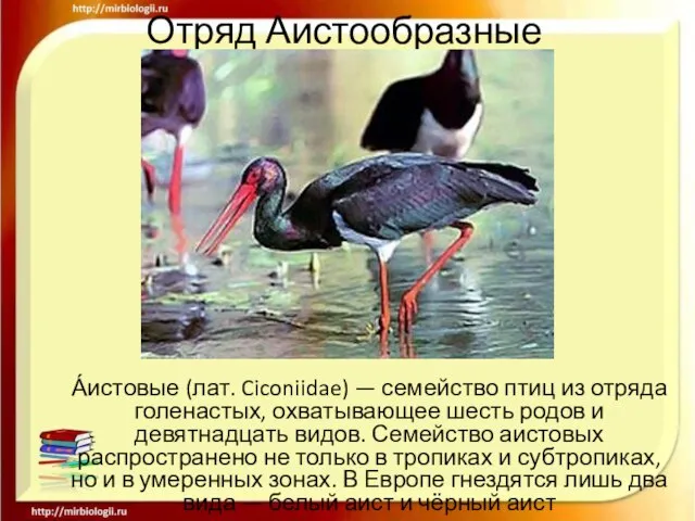 Отряд Аистообразные А́истовые (лат. Ciconiidae) — семейство птиц из отряда голенастых, охватывающее