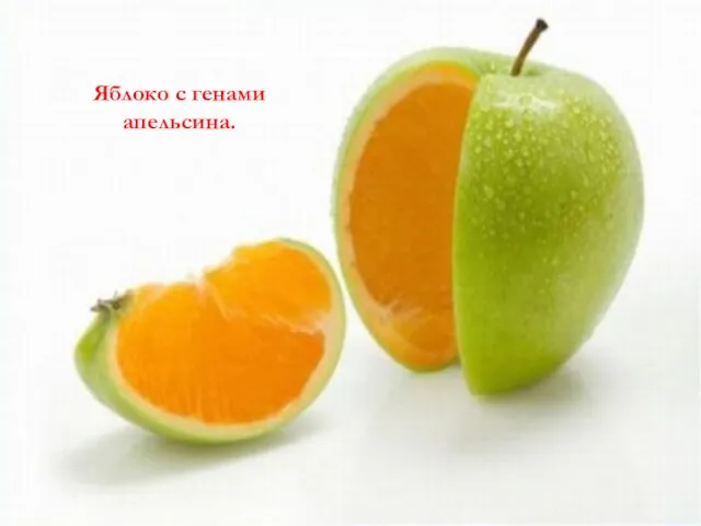 Яблоко с генами апельсина.