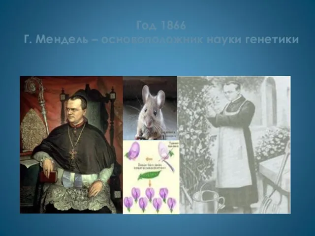 Год 1866 Г. Мендель – основоположник науки генетики