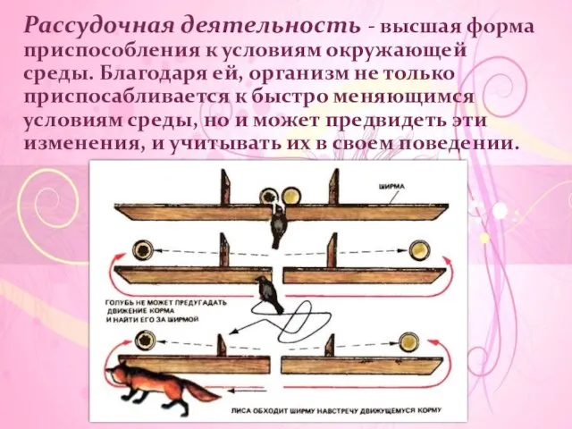 Рассудочная деятельность - высшая форма приспособления к условиям окружающей среды. Благодаря ей,