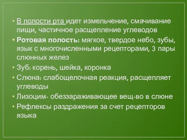 В полости рта идет измельчение, смачивание пищи, частичное расщепление углеводов Ротовая полость: