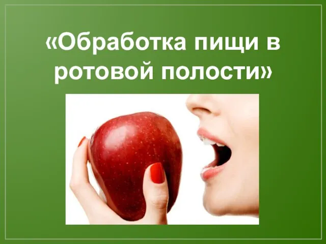 «Обработка пищи в ротовой полости»