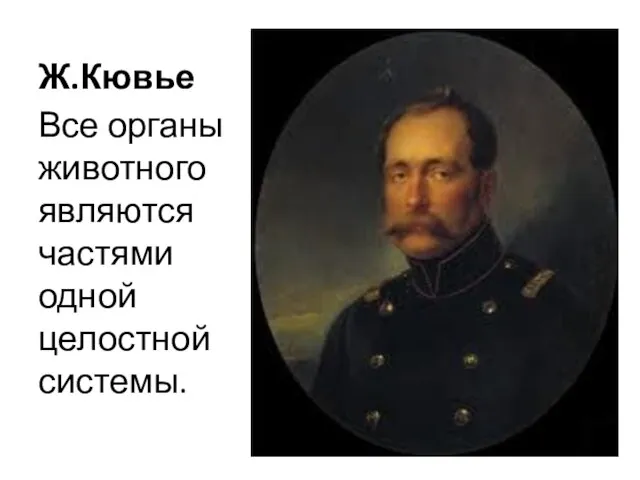 Ж.Кювье Все органы животного являются частями одной целостной системы.