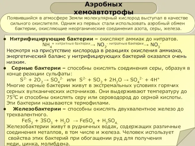 Появившийся в атмосфере Земли молекулярный кислород выступал в качестве сильного окислителя. Одним