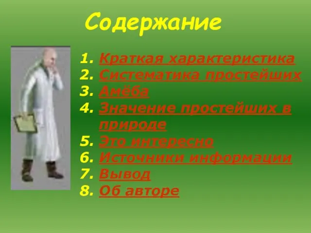 Содержание Краткая характеристика Систематика простейших Амёба Значение простейших в природе Это интересно