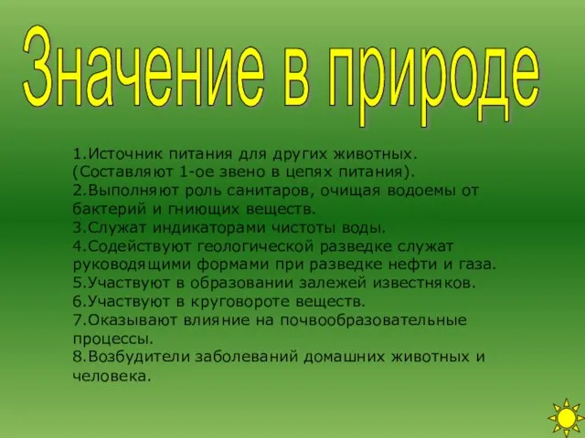 1.Источник питания для других животных. (Составляют 1-ое звено в цепях питания). 2.Выполняют