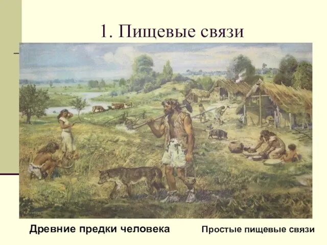 1. Пищевые связи Физиологическая норма человека – 2500 ккал в сутки Древние