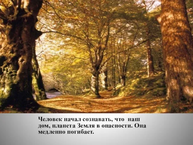 Человек начал сознавать, что наш дом, планета Земля в опасности. Она медленно погибает.