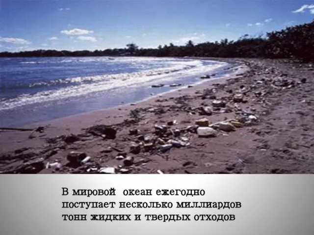 В мировой океан ежегодно поступает несколько миллиардов тонн жидких и твердых отходов