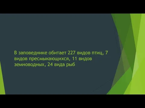 В заповеднике обитает 227 видов птиц, 7 видов пресмыкающихся, 11 видов земноводных, 24 вида рыб