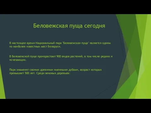 Беловежская пуща сегодня В настоящее время Национальный парк "Беловежская пуща" является одним