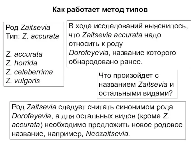 Род Zaitsevia Тип: Z. accurata Z. accurata Z. horrida Z. celeberrima Z.