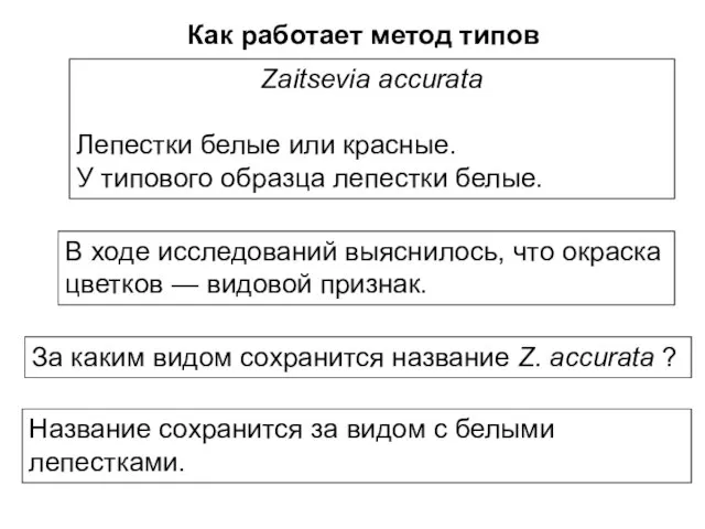 Как работает метод типов Zaitsevia accurata Лепестки белые или красные. У типового