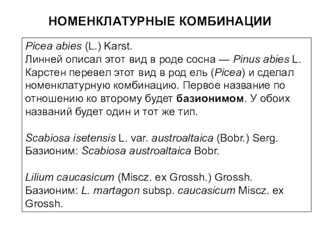 НОМЕНКЛАТУРНЫЕ КОМБИНАЦИИ Picea abies (L.) Karst. Линней описал этот вид в роде