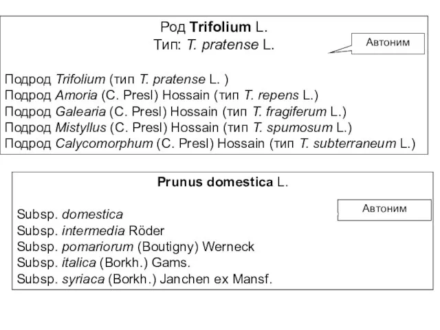 Род Trifolium L. Тип: T. pratense L. Подрод Trifolium (тип T. pratense