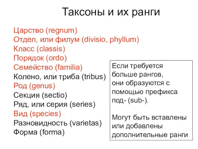 Царство (regnum) Отдел, или филум (divisio, phyllum) Класс (classis) Порядок (ordo) Семейство