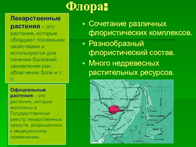 Флора: Сочетание различных флористических комплексов. Разнообразный флористический состав. Много недревесных растительных ресурсов.