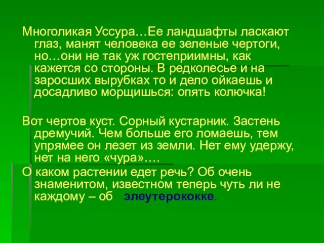 Многоликая Уссура…Ее ландшафты ласкают глаз, манят человека ее зеленые чертоги, но…они не