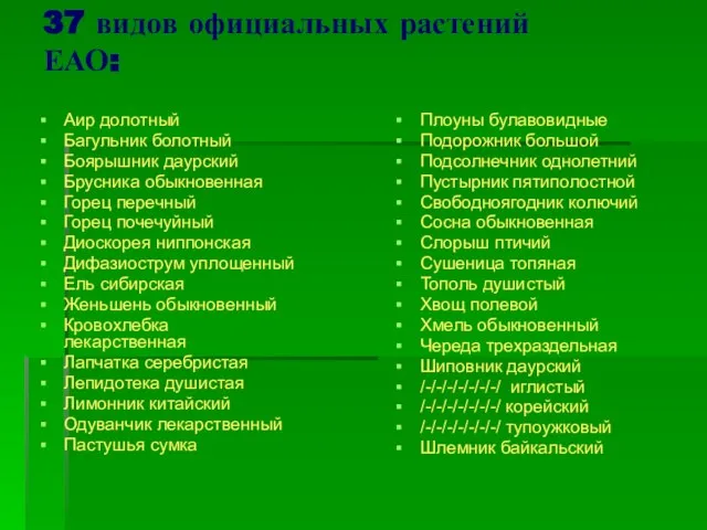 37 видов официальных растений ЕАО: Аир долотный Багульник болотный Боярышник даурский Брусника