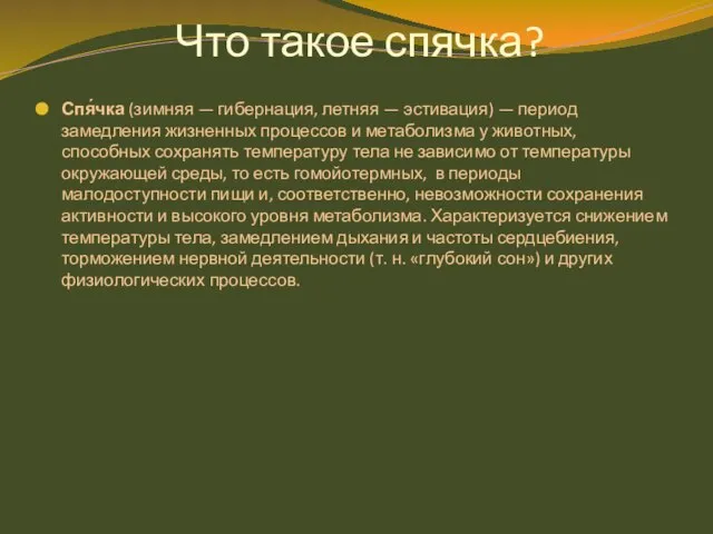 Что такое спячка? Спя́чка (зимняя — гибернация, летняя — эстивация) — период