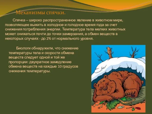 Механизмы спячки. Спячка – широко распространенное явление в животном мире, позволяющее выжить