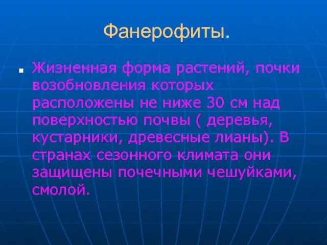 Фанерофиты. Жизненная форма растений, почки возобновления которых расположены не ниже 30 см