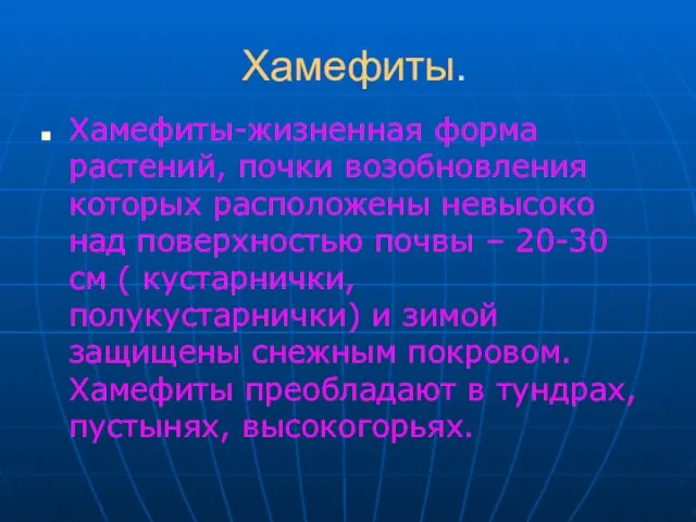 Хамефиты. Хамефиты-жизненная форма растений, почки возобновления которых расположены невысоко над поверхностью почвы