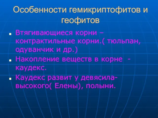 Особенности гемикриптофитов и геофитов Втягивающиеся корни – контрактильные корни.( тюльпан, одуванчик и