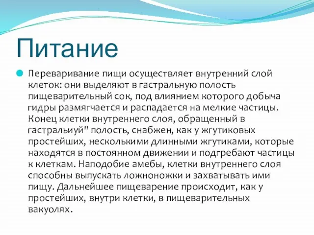 Питание Переваривание пищи осуществляет внутренний слой клеток: они выделяют в гастральную полость