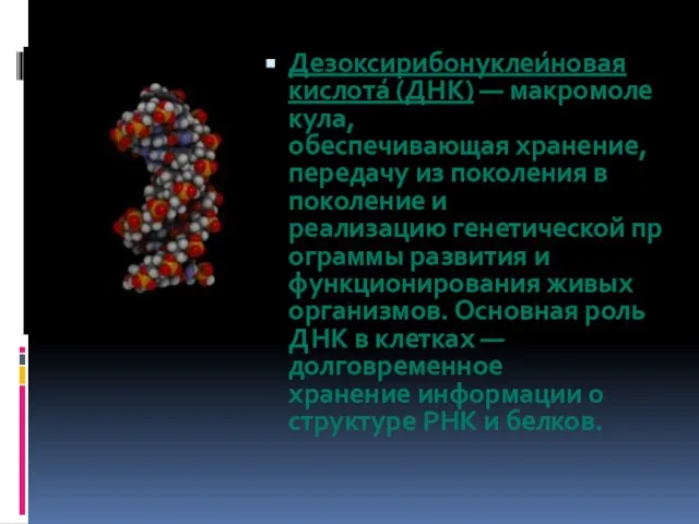 Дезоксирибонуклеи́новая кислота́ (ДНК) — макромолекула, обеспечивающая хранение, передачу из поколения в поколение