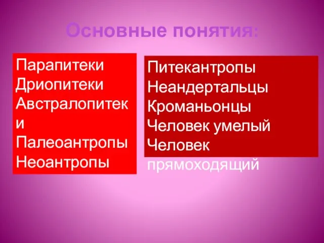 Основные понятия: Парапитеки Дриопитеки Австралопитеки Палеоантропы Неоантропы Питекантропы Неандертальцы Кроманьонцы Человек умелый Человек прямоходящий