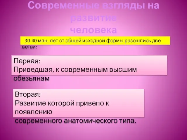 Современные взгляды на развитие человека 30-40 млн. лет от общей исходной формы